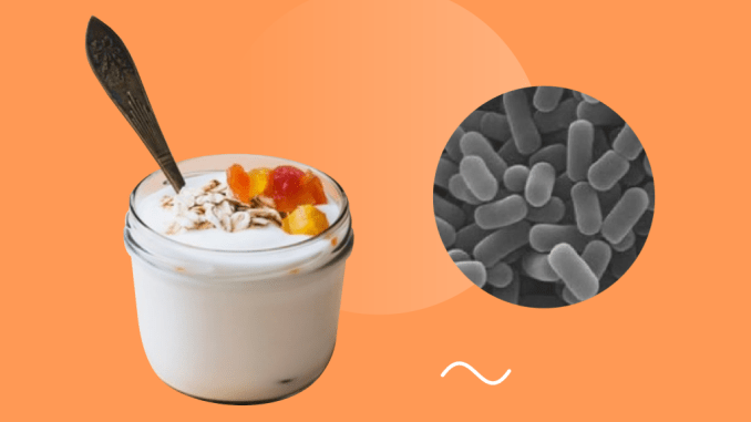Pengujian Mikroba pada Dairy Product (Produk Olahan Susu)