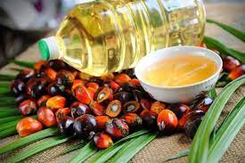Water Purifier untuk Industri Minyak Goreng Sawit