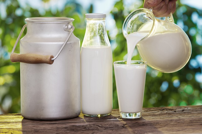 Identifikasi dan Pemeriksaan Jumlah Total Bakteri pada Susu Sapi
