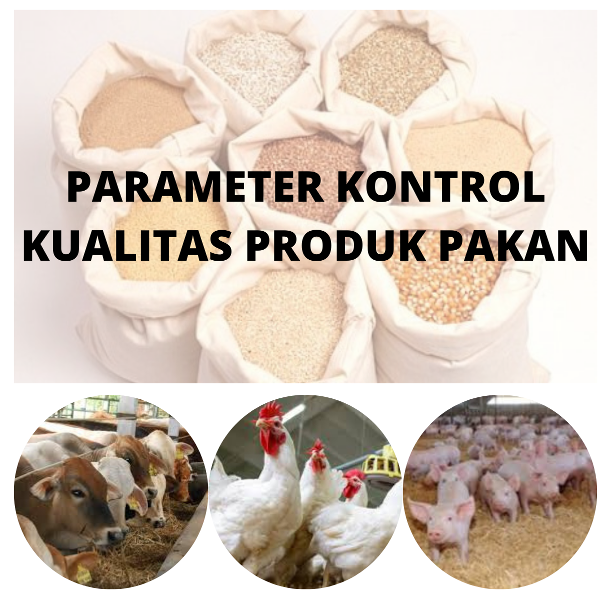 Parameter Kontrol Kualitas Produk Pakan Bagian 1