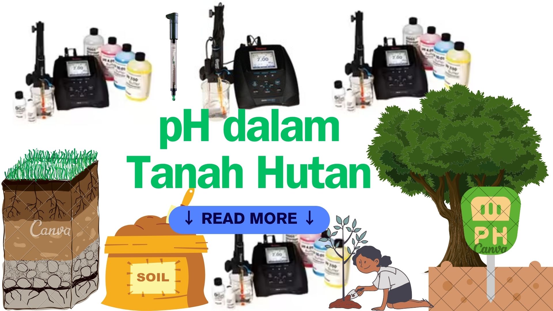 pH dalam Tanah Hutan