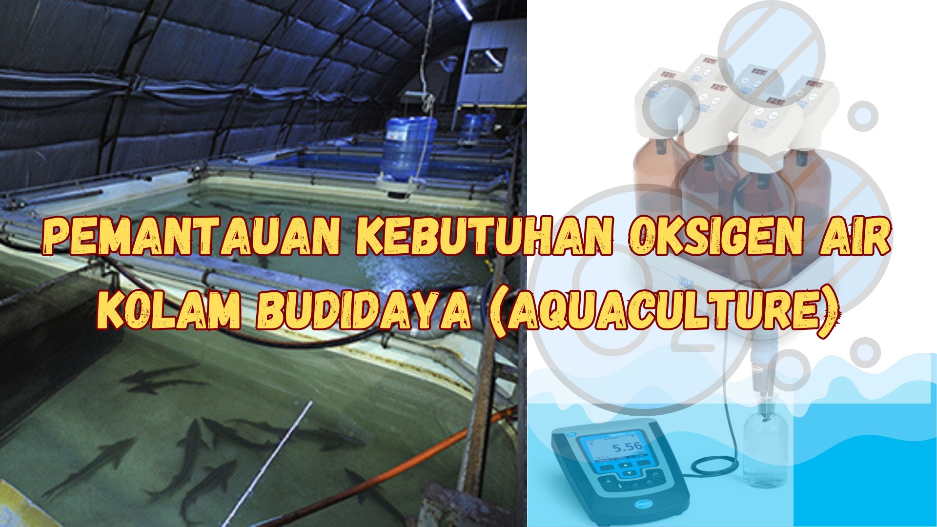 Pemantauan Kebutuhan Oksigen Air Kolam Budidaya (Aquaculture)