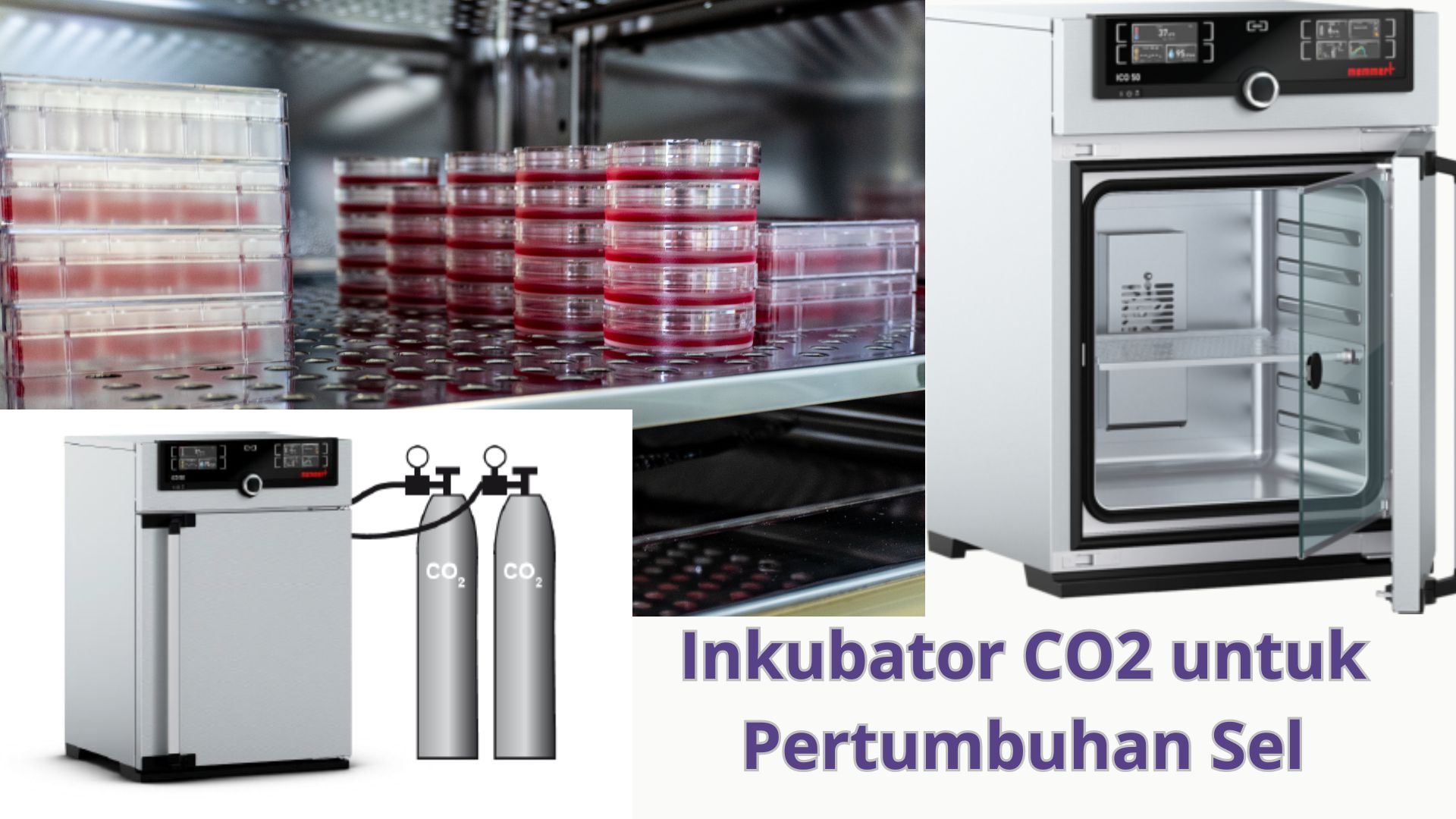 Inkubator CO2 untuk Pertumbuhan Sel