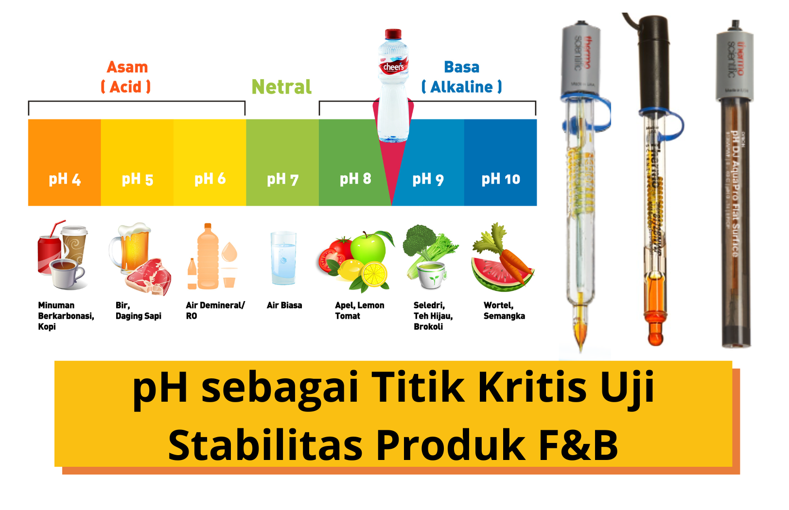 Uji Stabilitas Produk : pH Sebagai Titik Kritis Penentu Stabilitas Produk Olahan Pangan