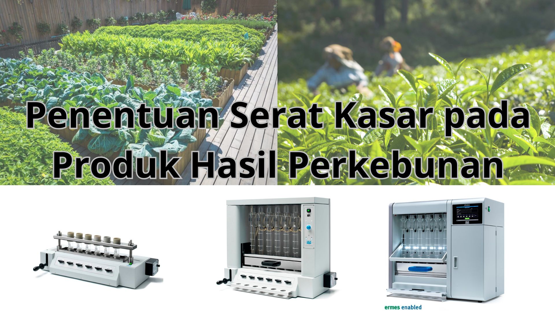 Penentuan Serat Kasar pada Produk Komuditas Perkebunan