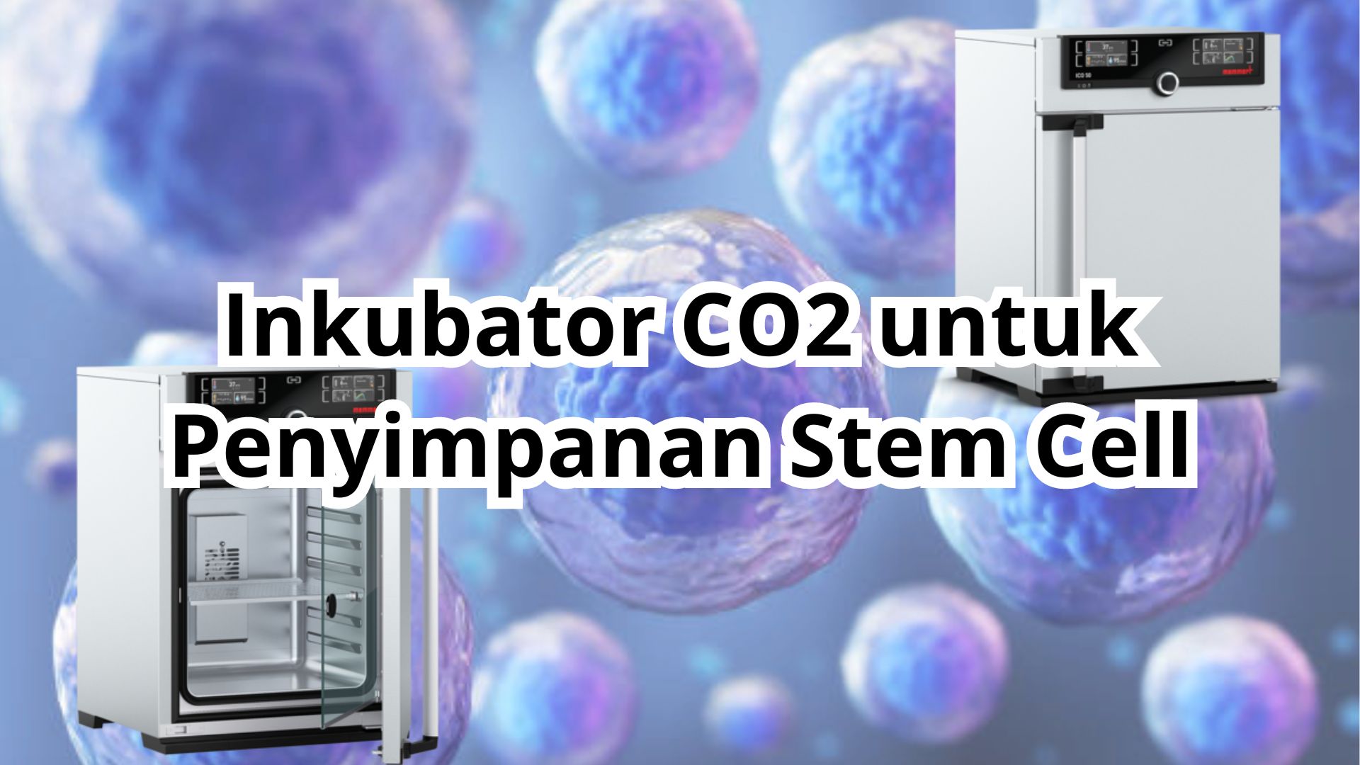 Inkubator CO2 untuk Penyimpanan Stem Cell