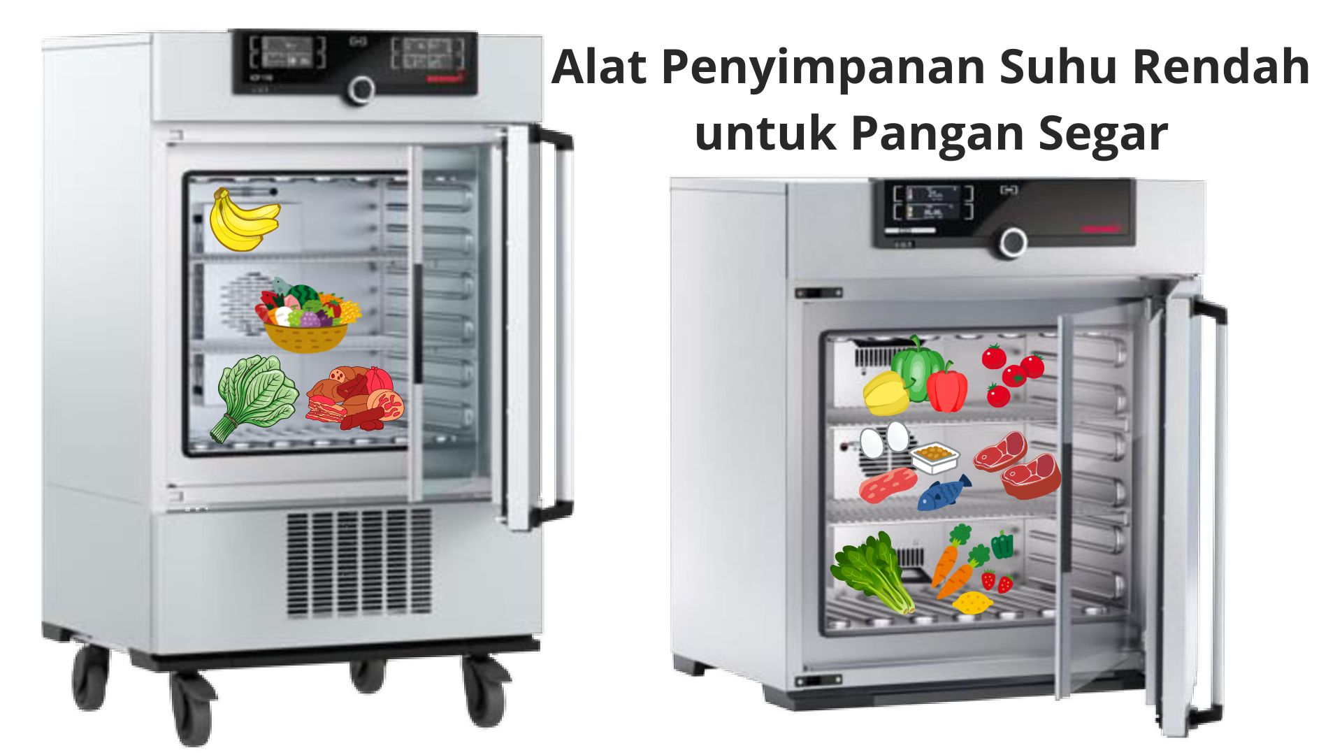Alat Penyimpanan Suhu Rendah untuk Pangan Segar